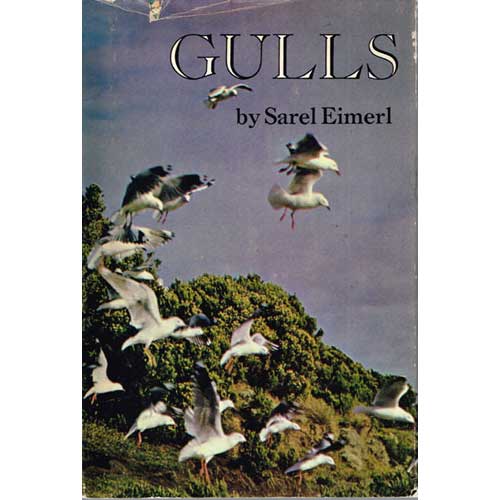 Item #R1409304 Gulls. Sarel Eimerl.