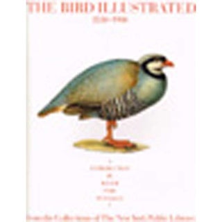 Item #R1410022 The Bird Illustrated 1550-1900. Joseph Kastner