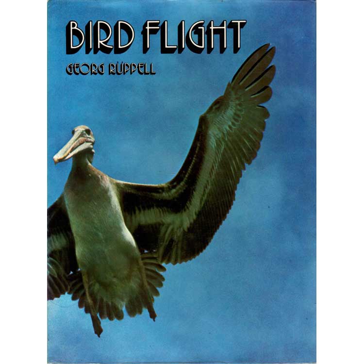 Item #R1410087 Bird Flight. Georg Ruppell.