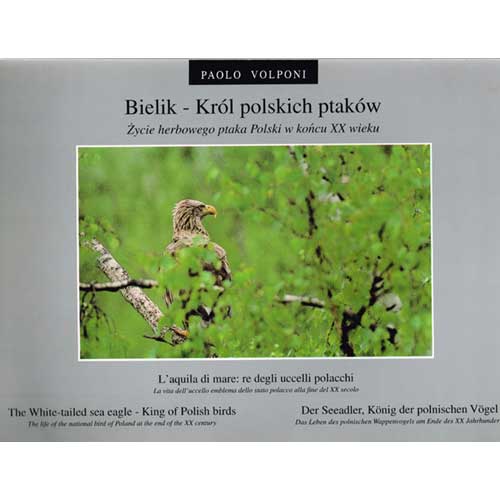 Item #R1412311 L'aquila di mare: re degli uccelli polacchi: The White-tailed Sea Eagle-King of Polish Birds. Paolo Volponi.