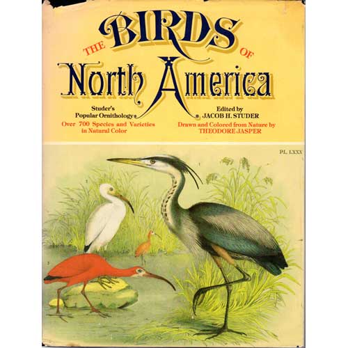 Item #R1501285 The Birds of North America. Jacob H. Studer.