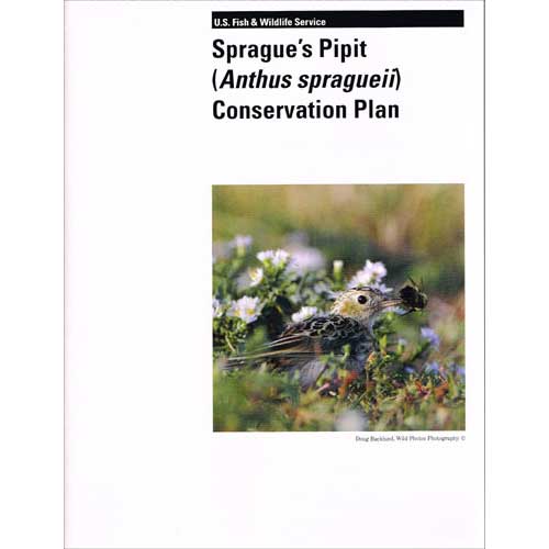 Item #R1504214 Sprague's Pipit [Anthus spragueii] Conservation Plan. Stephanie L. Jones.