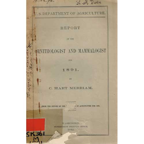 Item #R15042910 Report of the Ornithologist and Mammalogist for 1891 by C. Hart Merriam. C. Hart Merriam.