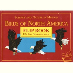 Item #R1504294 Science And Nature In Motion: Birds of North America. Stan Freeman.