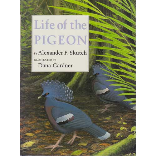 Item #R30175 Life of the Pigeon. Alexander F. SKUTCH.