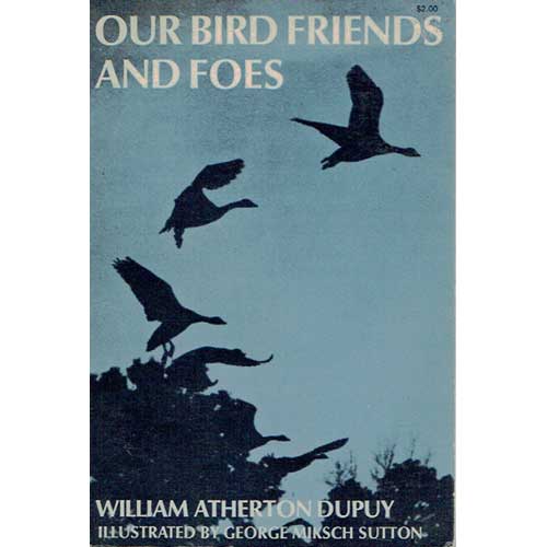 Item #R9112408 Our Bird Friends and Foes. William Atherton Dupuy.