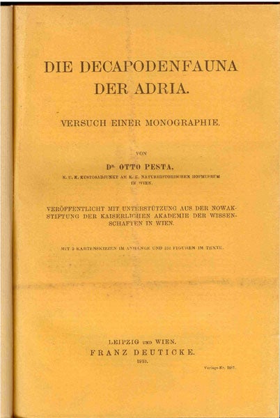 Item #WB150403 Die Decapodenfauna der Adria. Versuch einer Monographie. Otto Pesta.