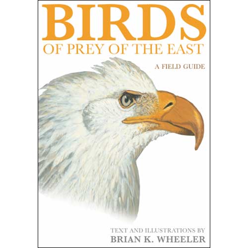 Item #WBOPE Birds of Prey of the East: A Field Guide. Brian K. Wheeler, Text and Illustrations.