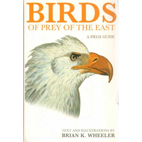 Item #WBOPEU Birds of Prey of the East: A Field Guide[Scratch and Dent]. Brian K. Wheeler, Text and Illustrations.
