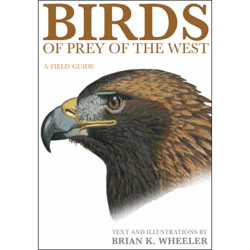 Item #WBOPW Birds of Prey of the West: A Field Guide. Brian K. Wheeler, Text and Illustrations.