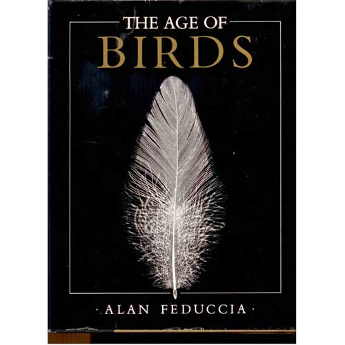 Item #Z04070201 The Age of Birds. Alan FEDUCCIA.