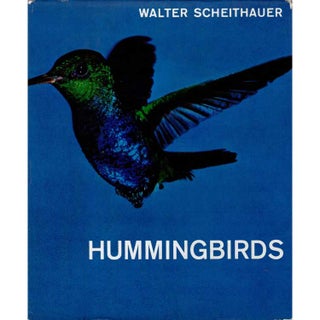 Item #Z06062202 Hummingbirds. Walter Scheithauer