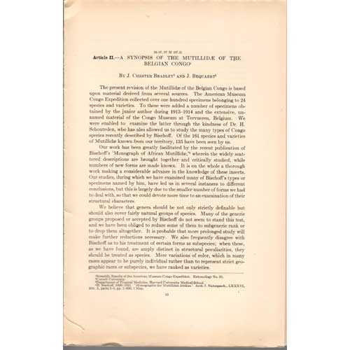 Item #Z07011103 A Synopsis of the Mutillidae of the Belgian Congo. J. Chester Bradley, J. Bequaert.