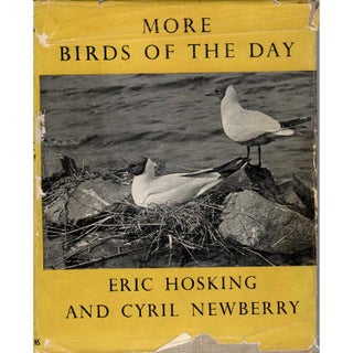 Item #Z10020906 More Birds of the Day. Eric Hosking, Cyril Newberry