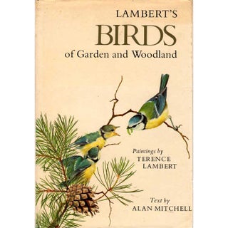 Item #Z10041505 Lambert's Birds of Garden and Woodland. Terence Lambert, Alan F. Mitchell