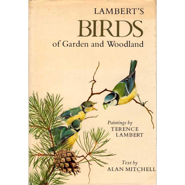 Item #Z10041505 Lambert's Birds of Garden and Woodland. Terence Lambert, Alan F. Mitchell.