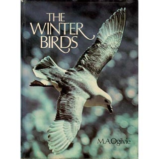 Item #Z10051007 The Winter Birds. M. A. Ogilvie