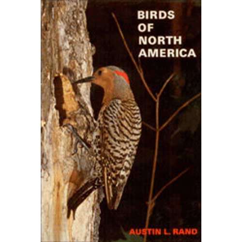Item #Z10060701 Birds of North America. Austin L. Rand.