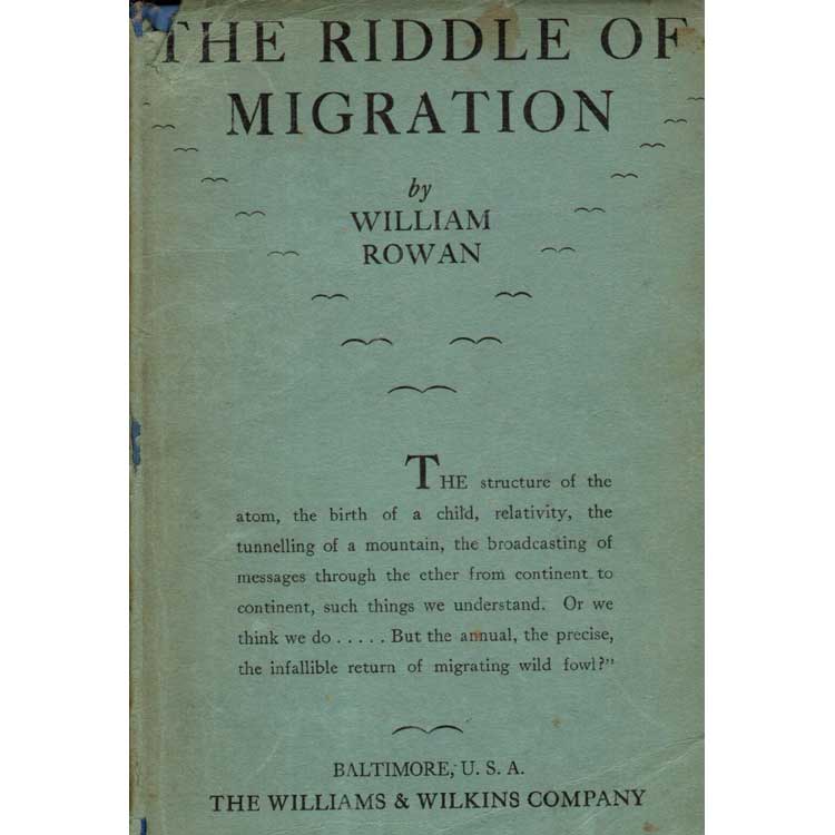 Item #Z10070704 The Riddle of Migration. William Rowan.