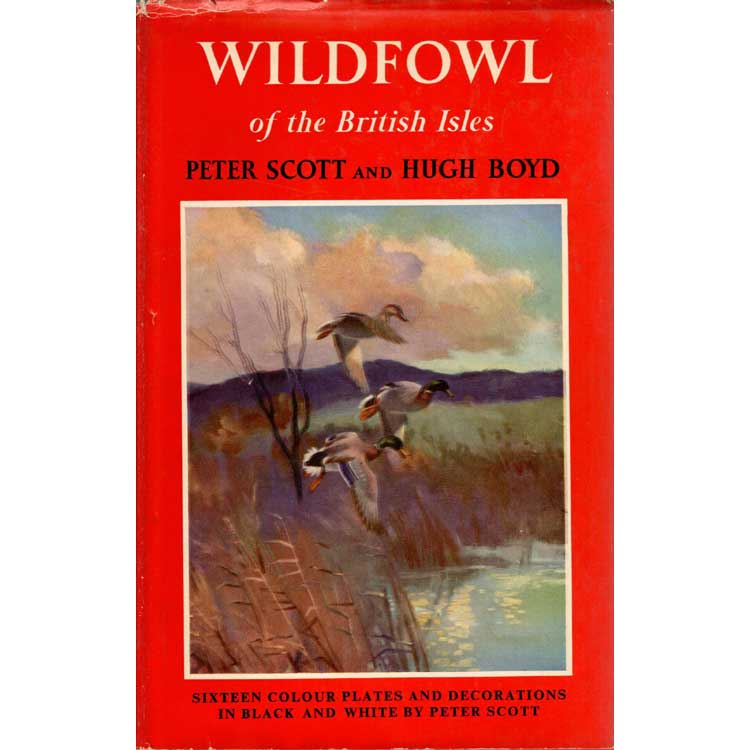 Item #Z10080309 Wildfowl of the British Isles. Peter Scott, Hugh Boyd.