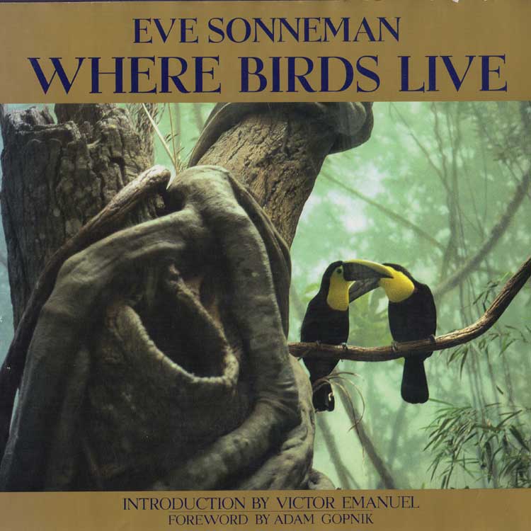 Item #Z10091407 Where Birds Live. Eve Sonneman.