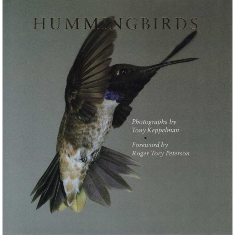 Item #ppmmol4055 Hummingbirds. Tony Keppelman.