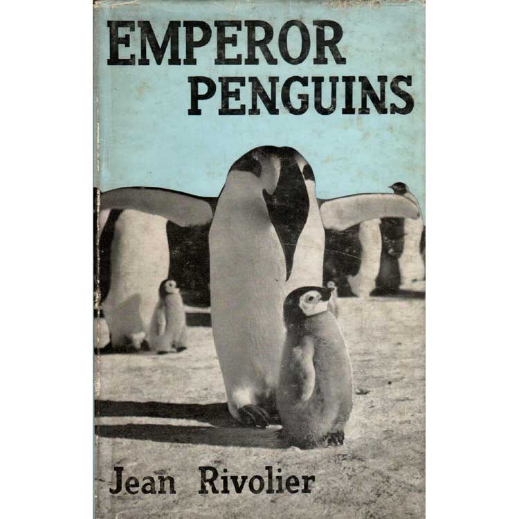 Item #vope321588 Emperor Penguins. Jean Rivolier.